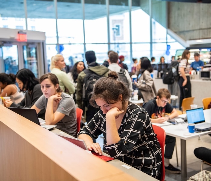 Students studying at the new bar seating