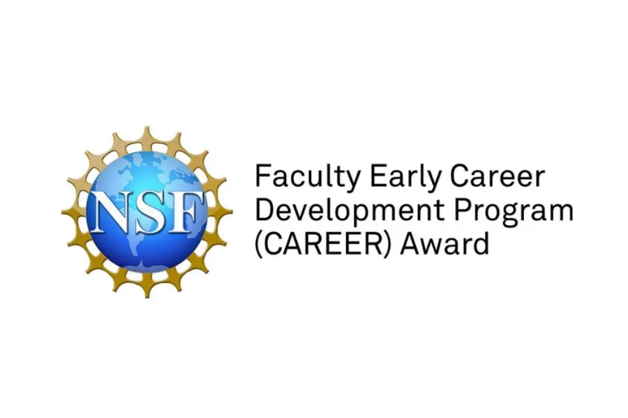 NSF Career Award Logo