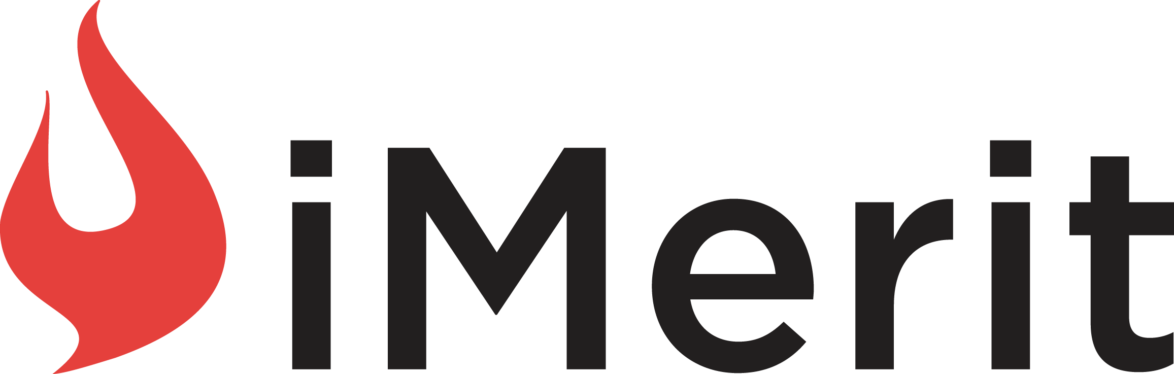 IMerit Logo