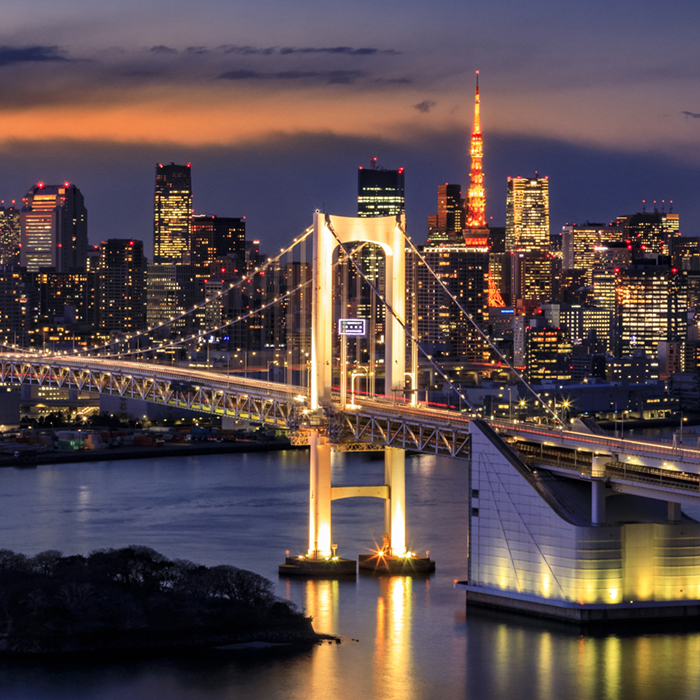 Tokyo Skyline