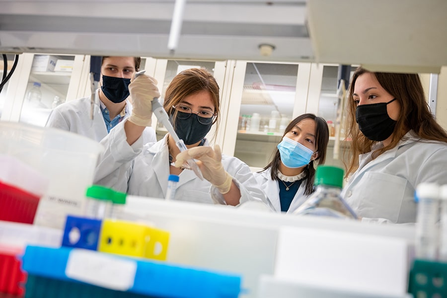 four students in a lab setting