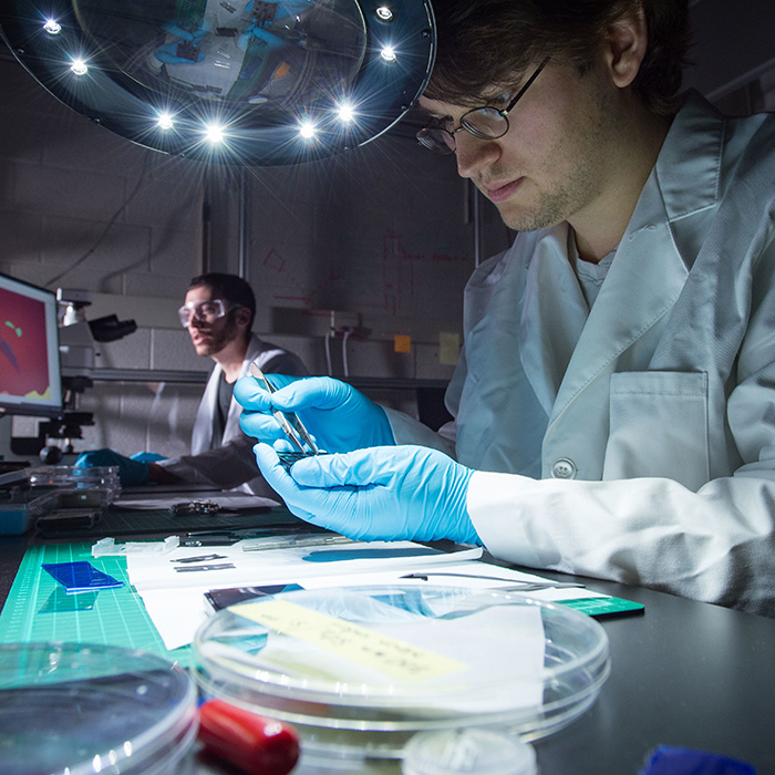 Students work in lab