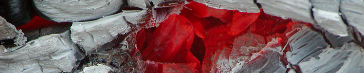 Coal Resources