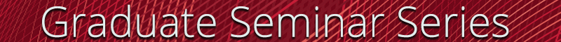 MSE Seminar Series logo