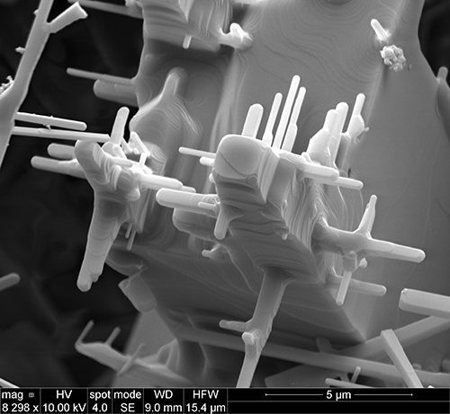 Kumar - Branched MgO Microstructure