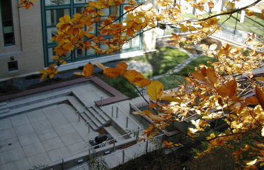 Doherty Hall green roof