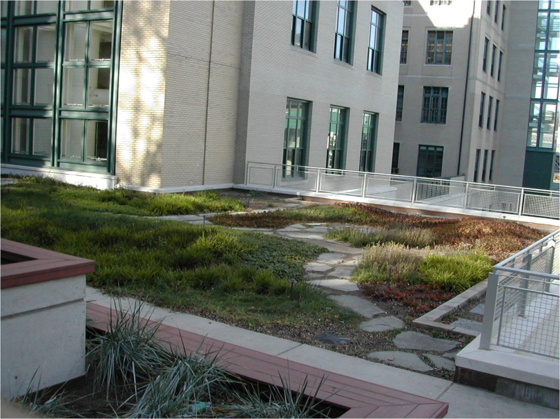 Doherty Hall Green Roof