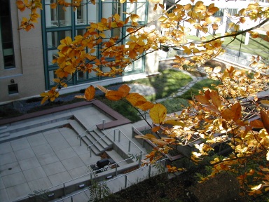 Doherty Hall green roof