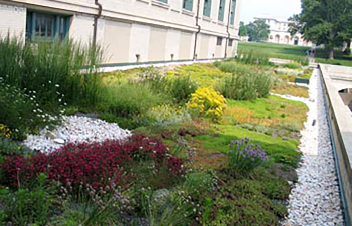 hamerschlag hall green roof