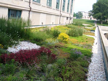 hamerschlag hall green roof