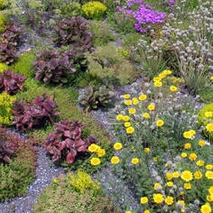 hamerschlag hall green roof