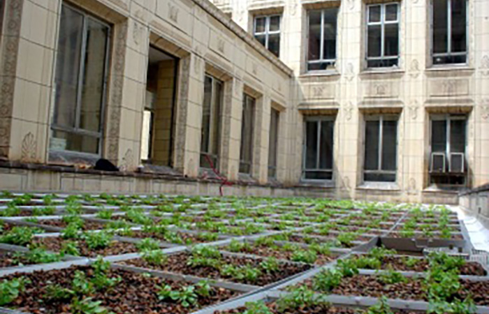 mellon institute green roof
