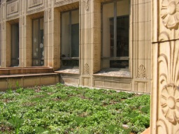 mellon institute green roof