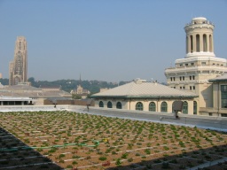 porter hall green roof