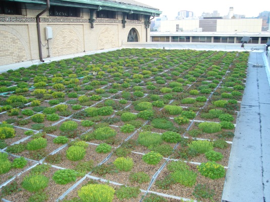 porter hall green roof