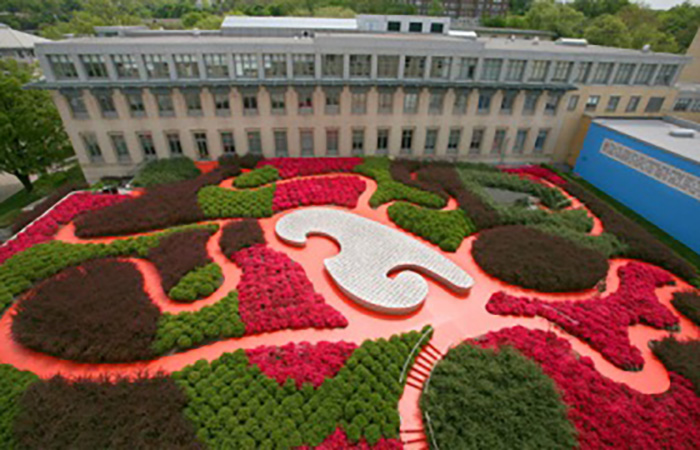 posner center green roof