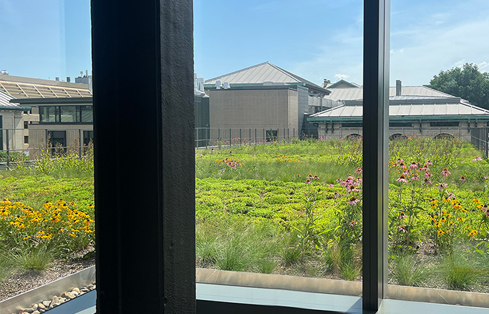 Scaife Hall green roof