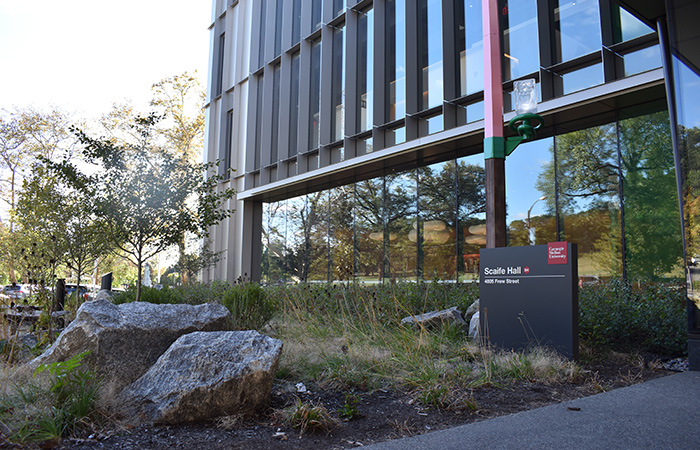 Scaife Hall entry landscaping