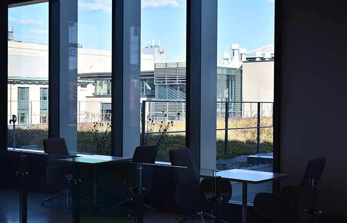 views out to green roof