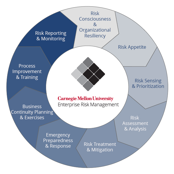 ERM wheel, showing the progression of the ERM process for CMU