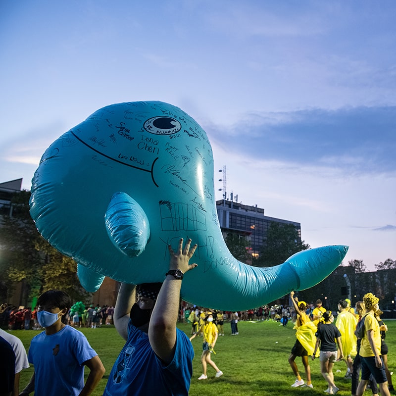 The Carnegie Cup with Donner's blue whale