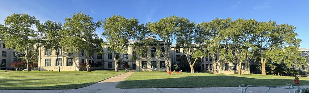 photo of ten trees on the Mall that will be removed