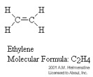 polymerarch1