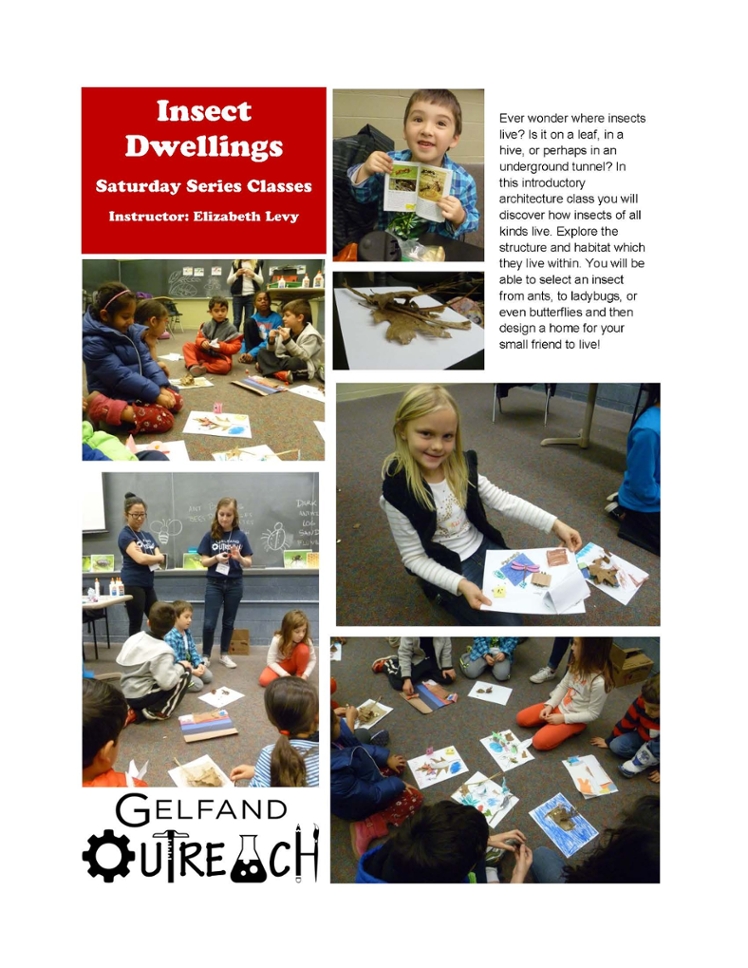 Insect Dwellings Outreach Class