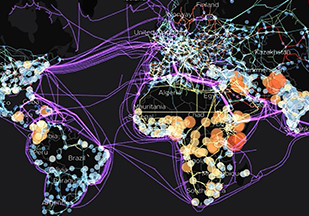 EarthTime pandelic visualization