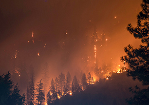 Tracking Wildfires