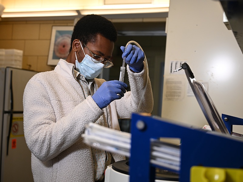 MCS student working in lab