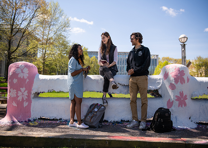 CMU students sitting on the fence