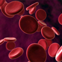 Blood Cells