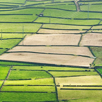 Farmland, Azores Islands, Portugal