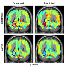 Cracking the Brain's Code