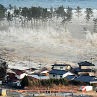 Japan Tsunami