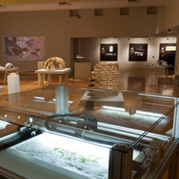 Intimate Science: L.A.