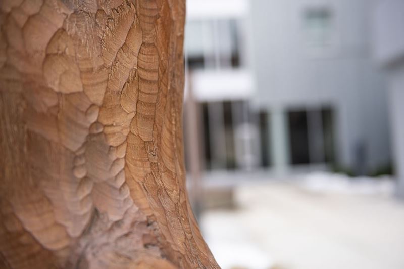 up close photo of a wooden sculpture