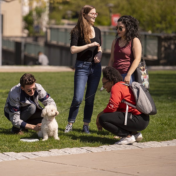 students on the cut petting a dog