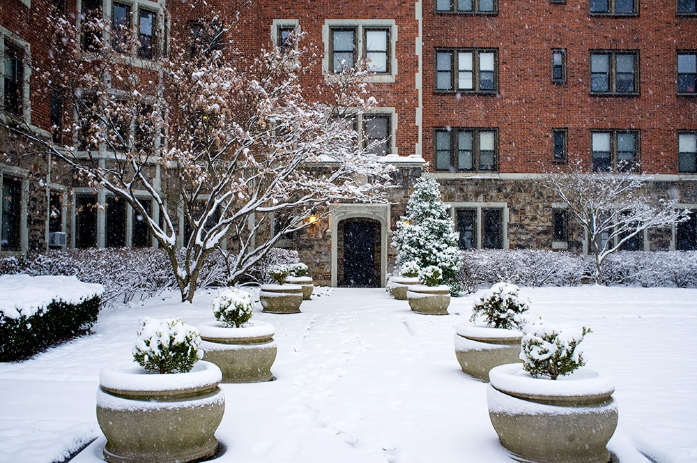 photo of Morewood Gardens with snow on it