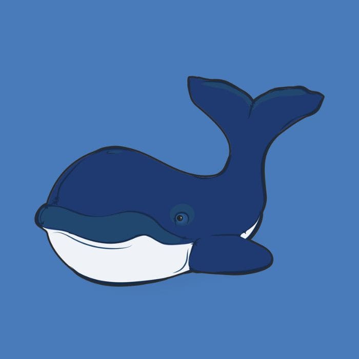 whale