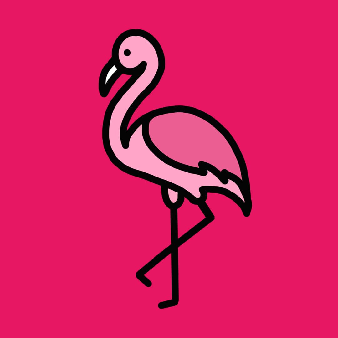 flamingo