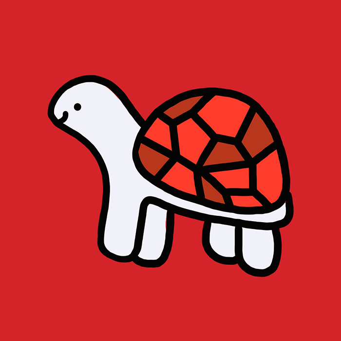turtle