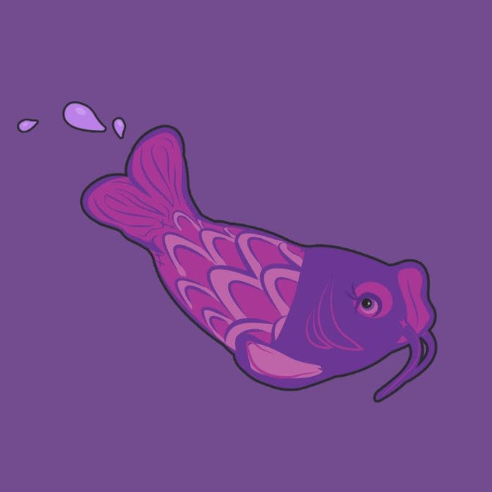 koi fish