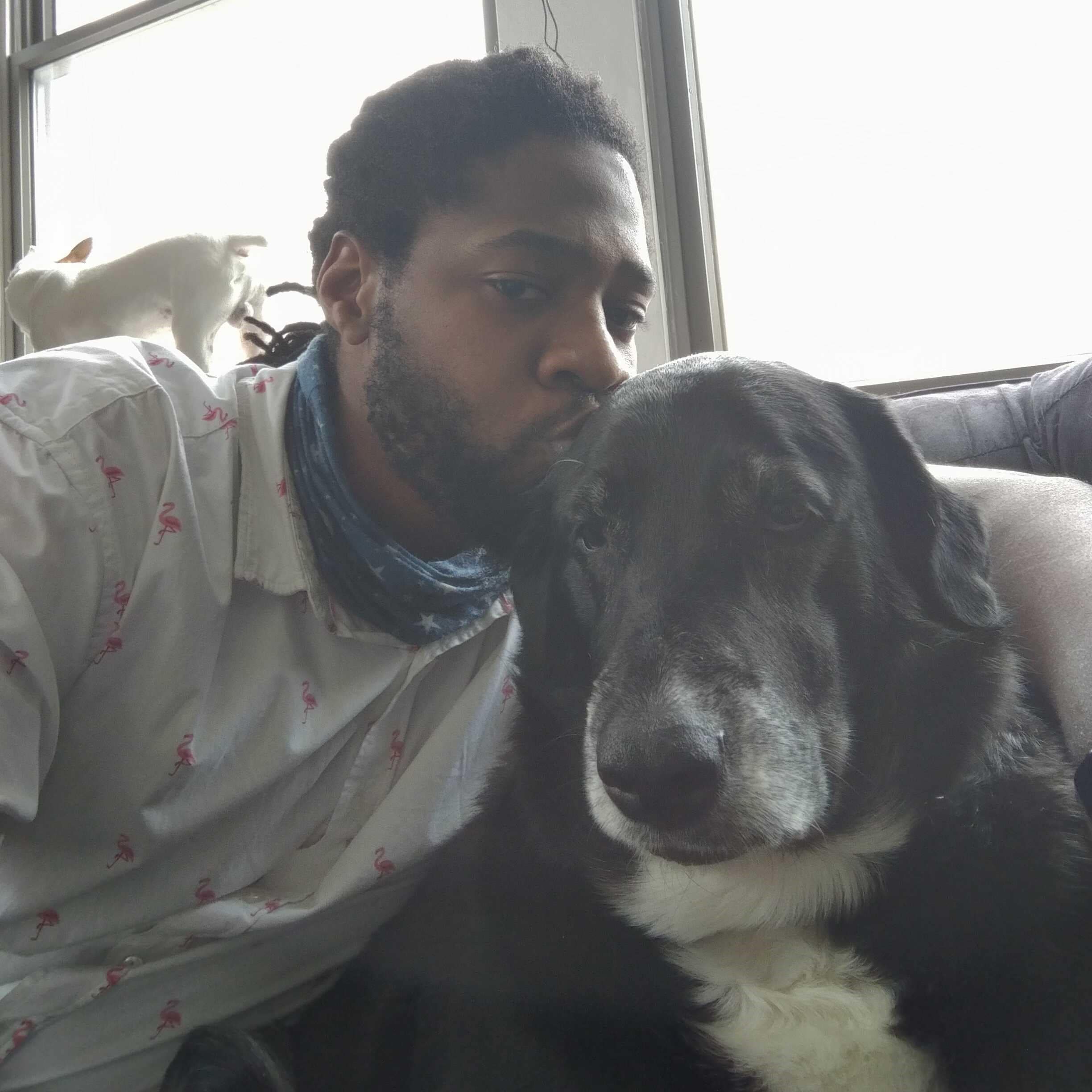 Photo of man kissing big black dog on the head.