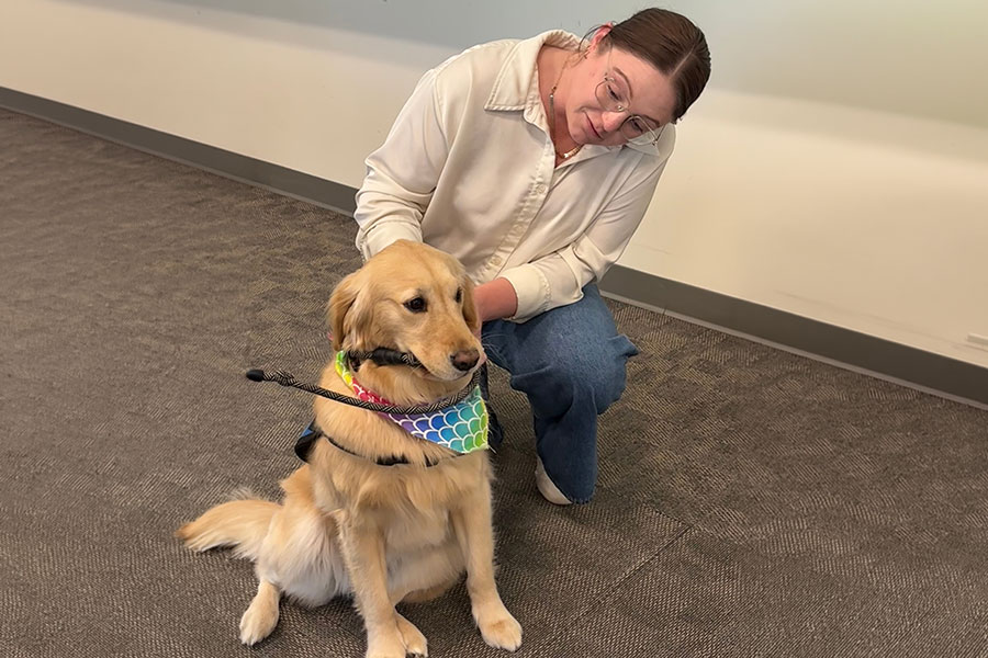 Woman petting golden retriever service dog