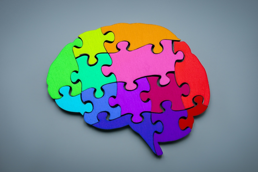 Multicolored puzzle pieces forming the shape of a brain on muted blue background