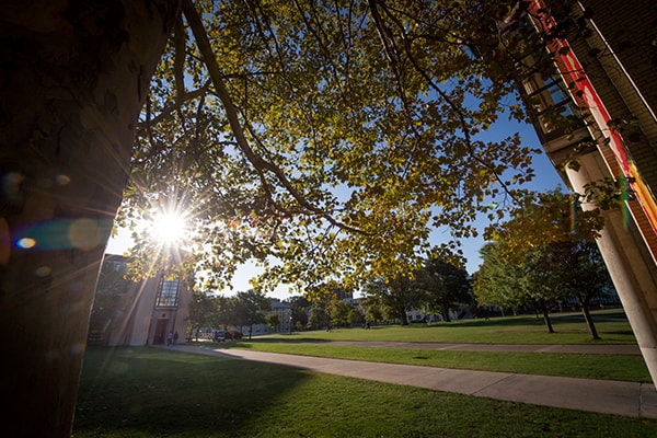 Image of the Cut in the sun
