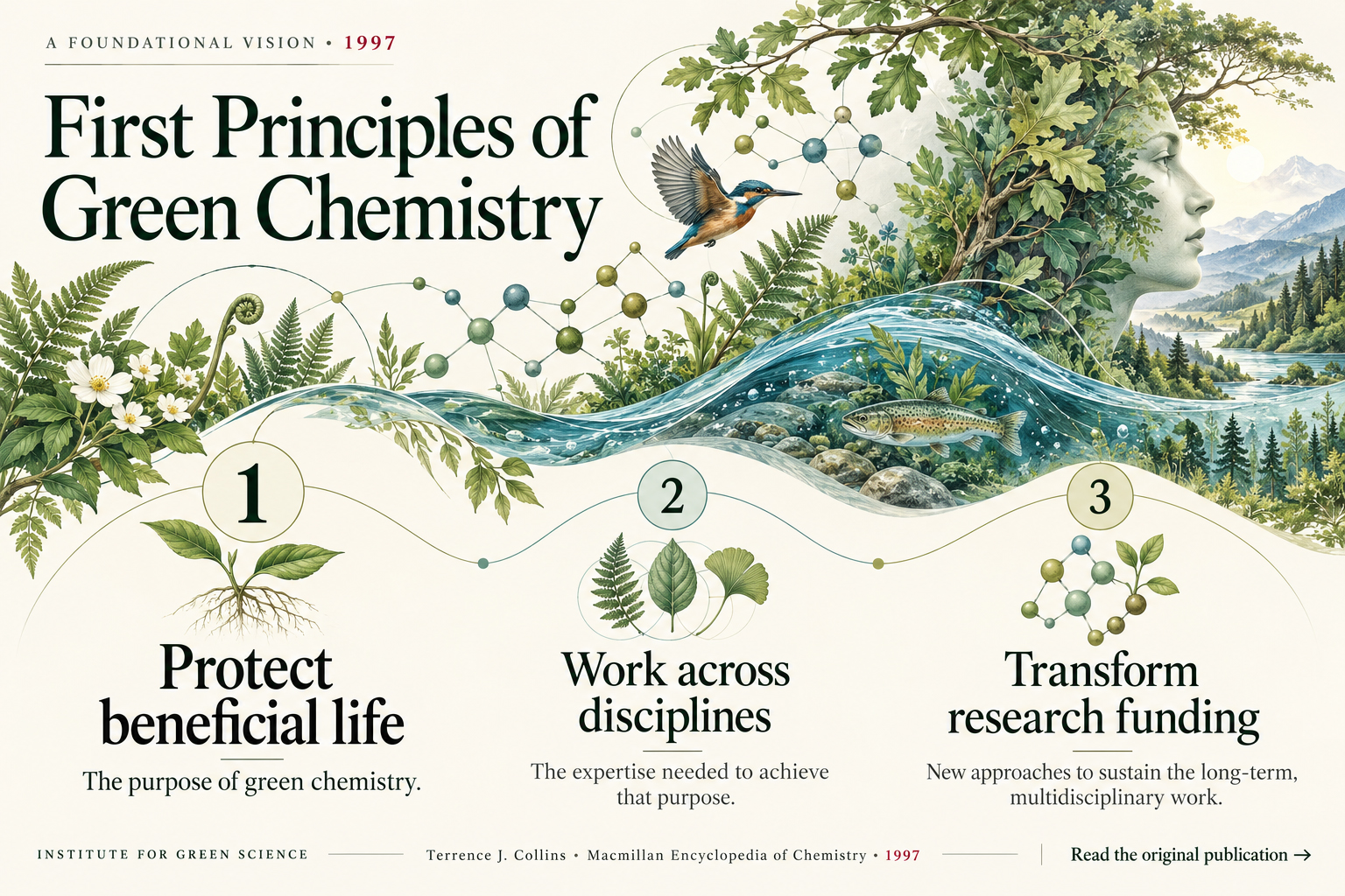 Read Terrence J. Collins's 1997 Green Chemistry article (PDF)