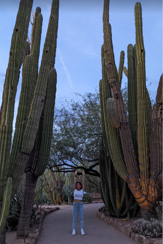 student nini hong poses in front of large saguaro cactuses in Arizona
